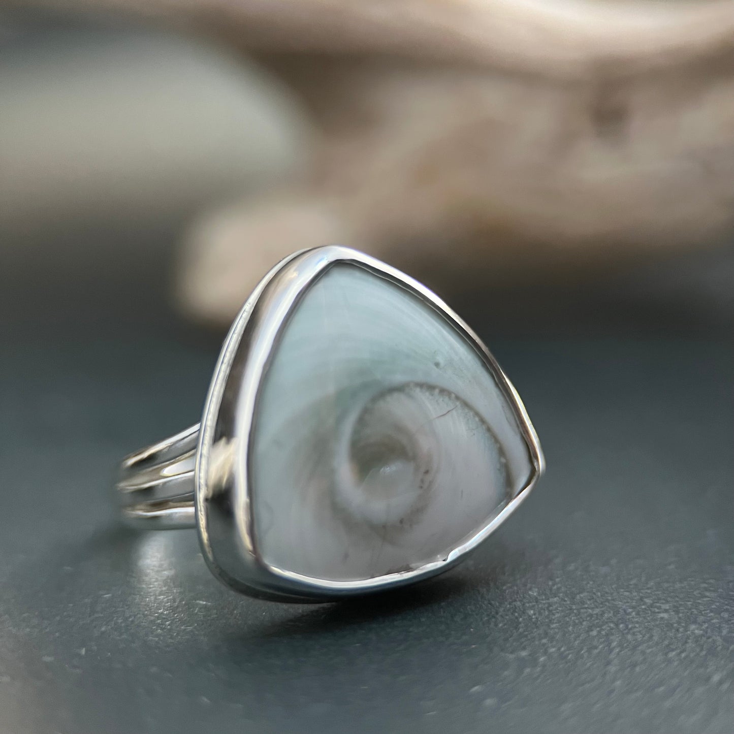 Shiva Shell Ring, Size 6.5