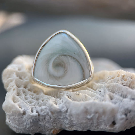 Shiva Shell Ring, Size 6.5