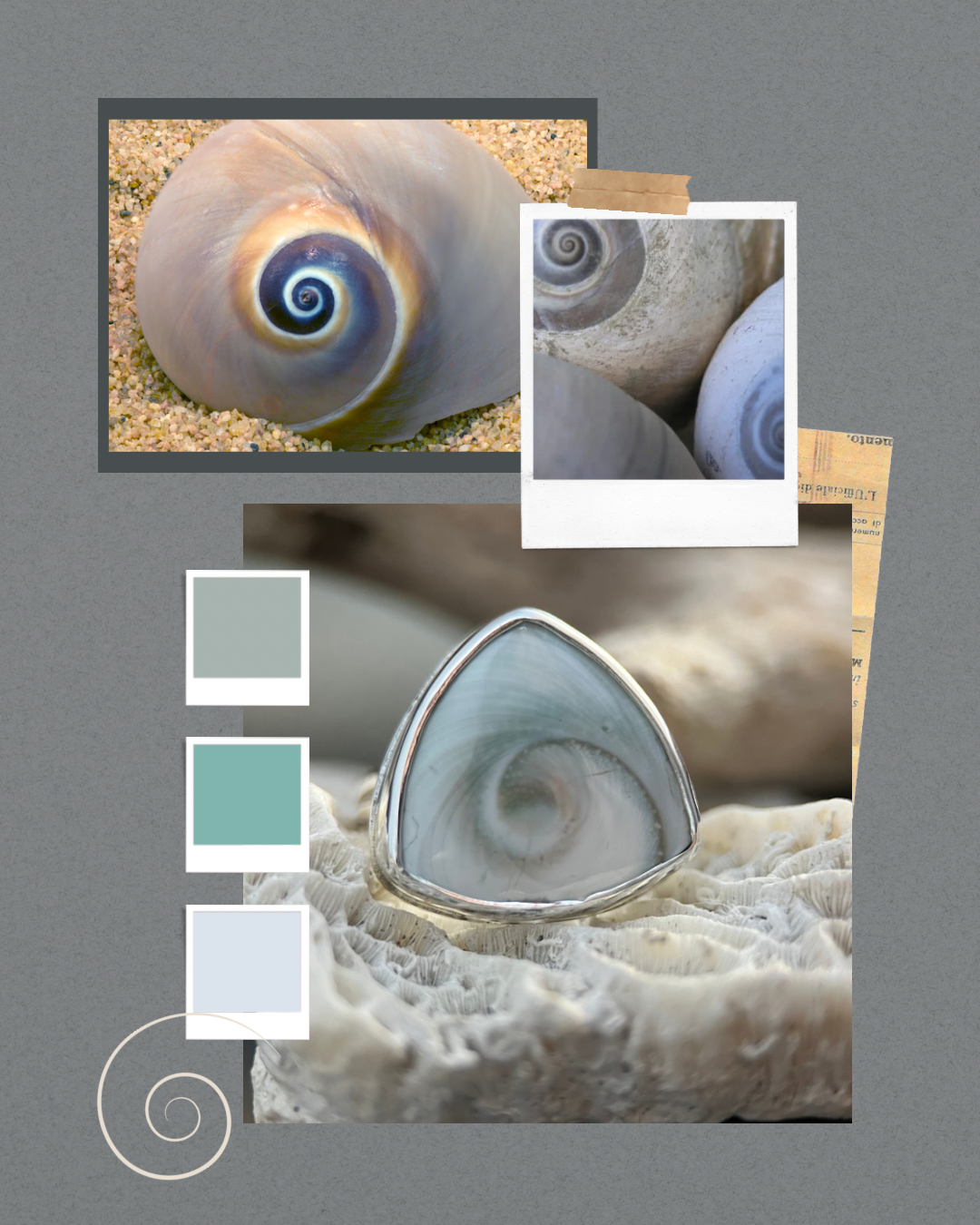 Shiva Shell Ring, Size 6.5