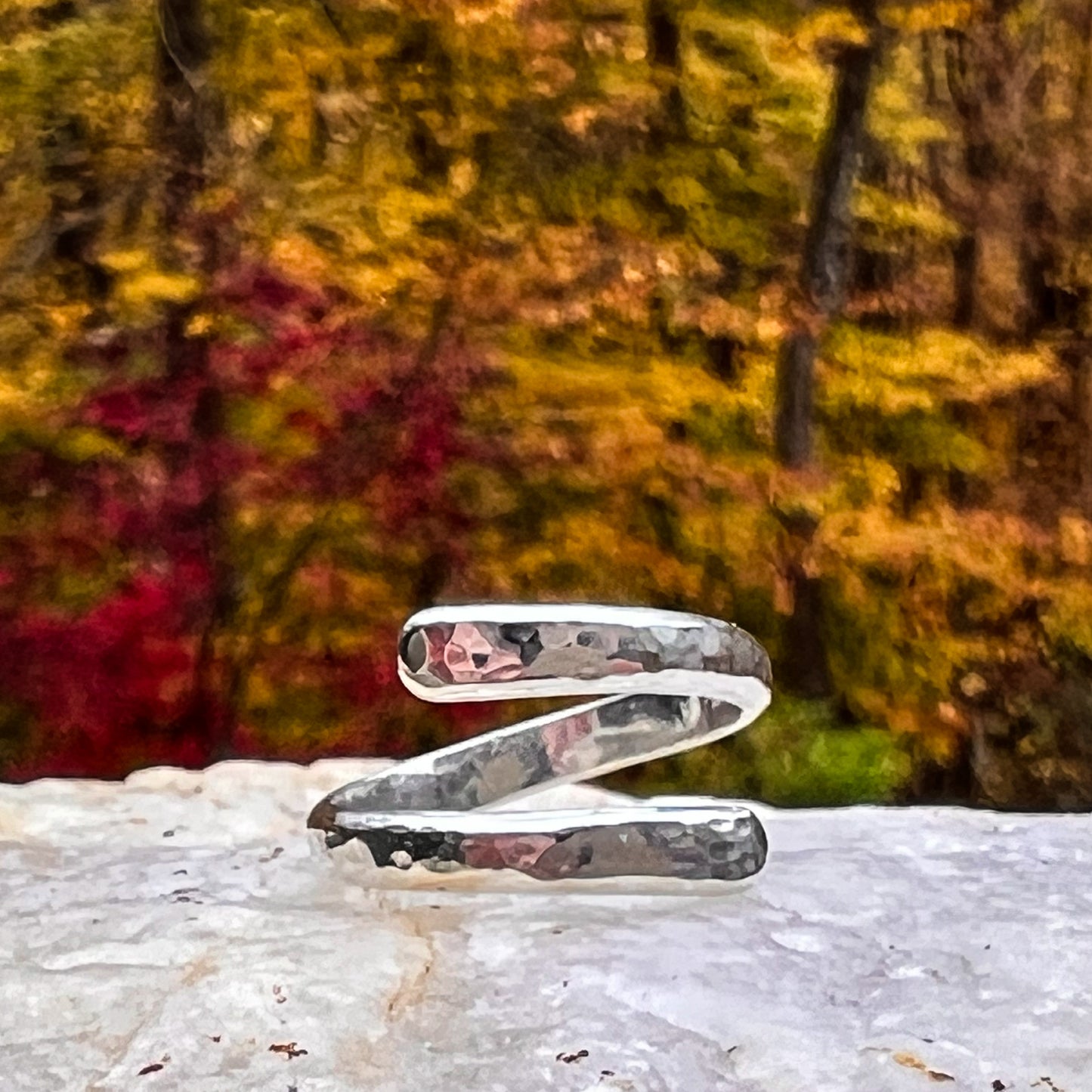 Embrace Ring in Silver